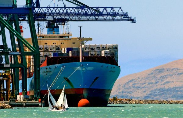 Container ship berthed beneath gantry cranes